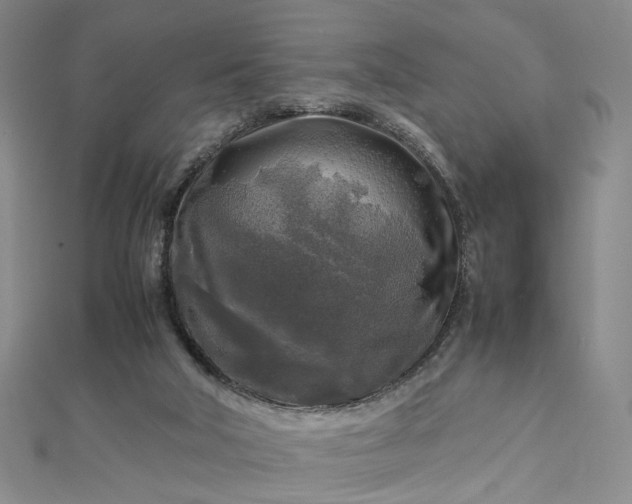 X0000112750018200909031536