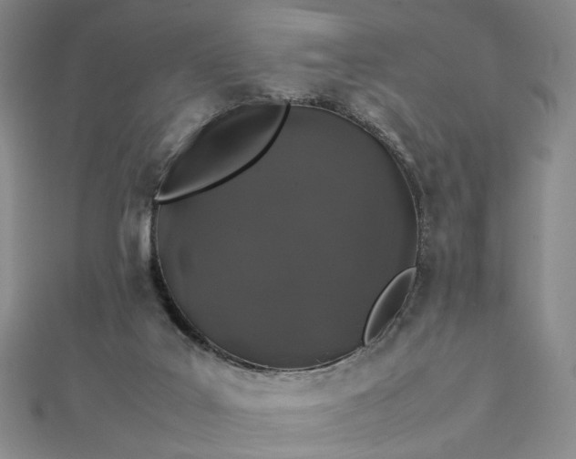 X0000112750019200909031536