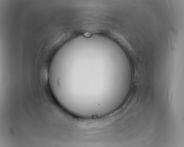 X0000112750021200909031536