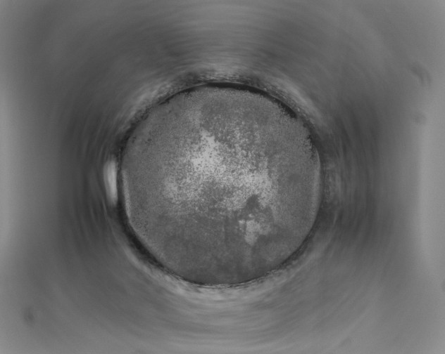 X0000112750022200909031536