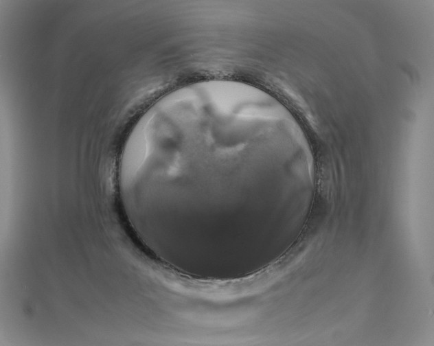 X0000112750023200909031536