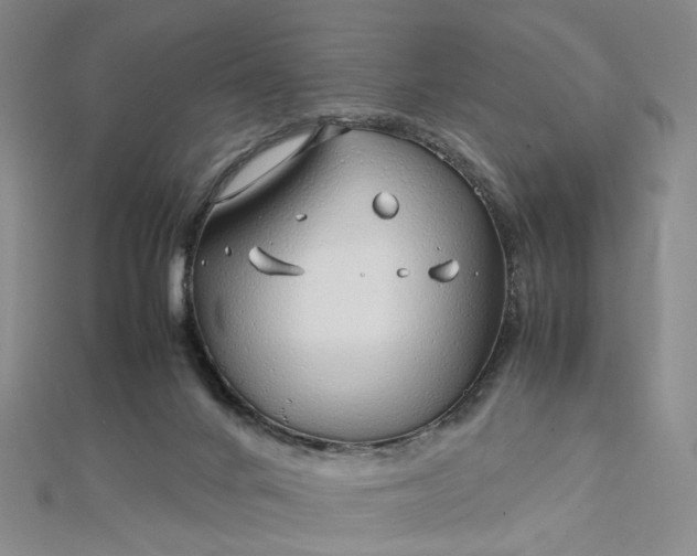 X0000112750024200909031536