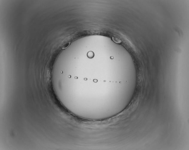 X0000112750025200909031536