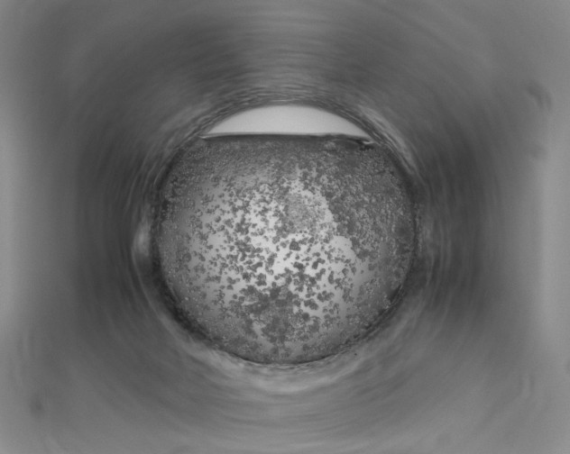 X0000112750026200909031536