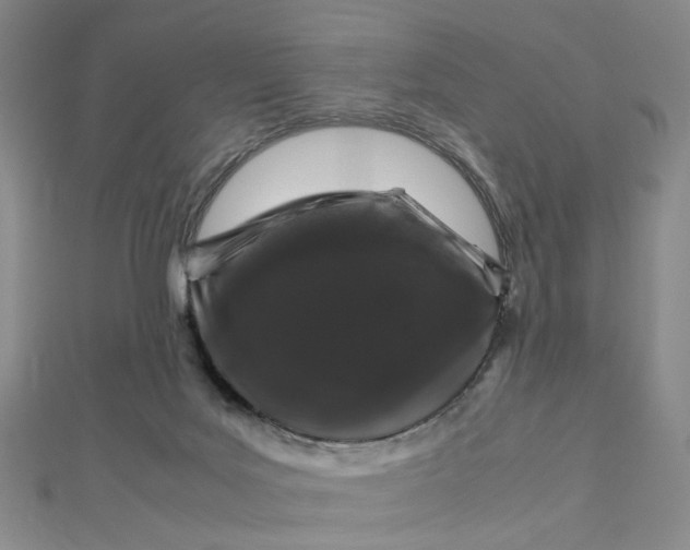 X0000112750027200909031536