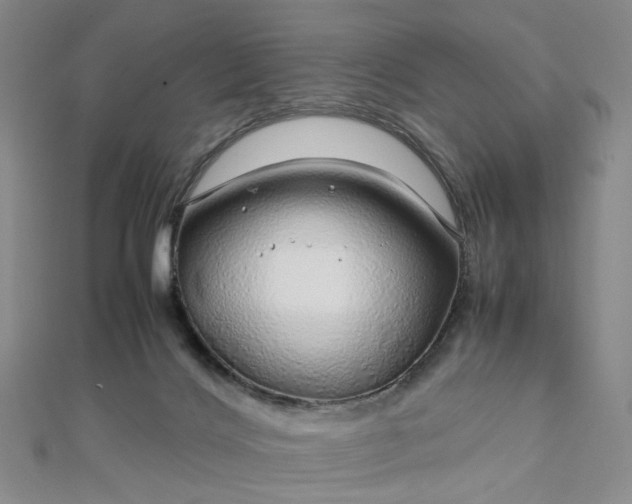 X0000112750028200909031536