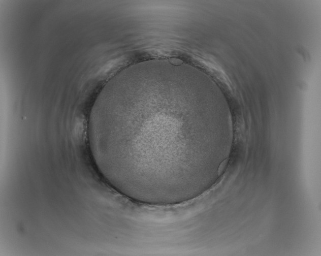 X0000112750029200909031536