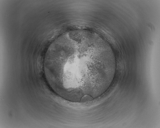 X0000112750030200909031536