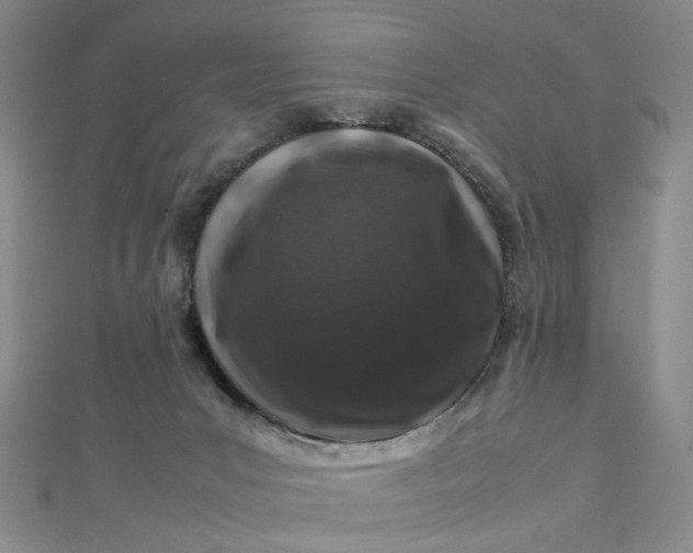 X0000112750031200909031536