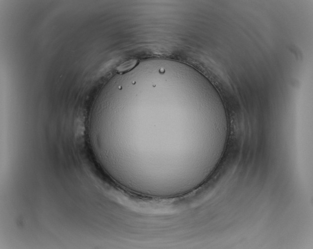 X0000112750032200909031536