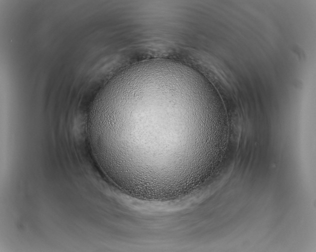 X0000112750034200909031536