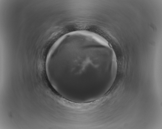 X0000112750035200909031536