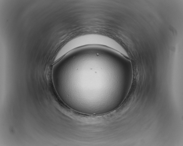 X0000112750036200909031536