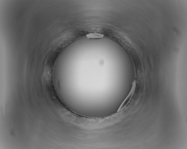 X0000112750037200909031536