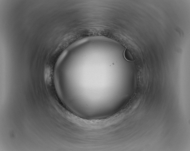 X0000112750038200909031536