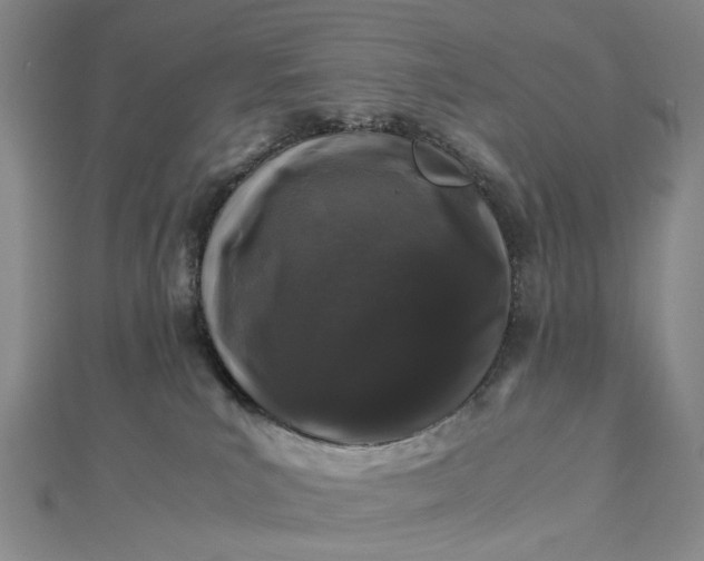 X0000112750039200909031536