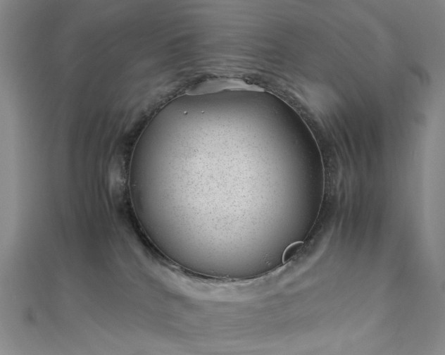 X0000112750040200909031536