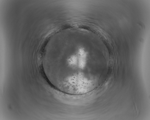 X0000112750043200909031536