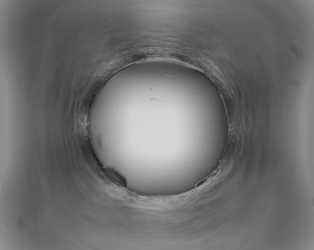 X0000112750045200909031536