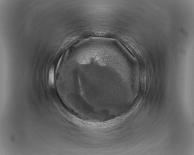 X0000112750046200909031536