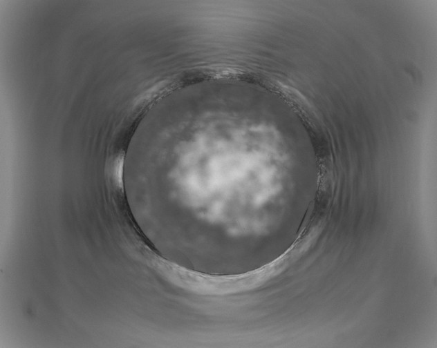 X0000112750047200909031536