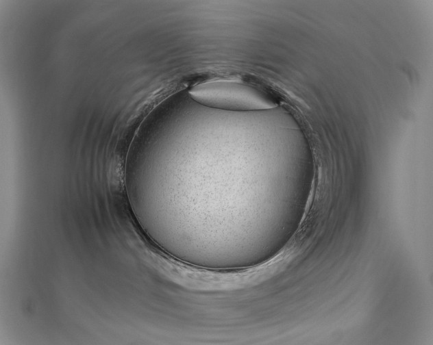 X0000112750048200909031536