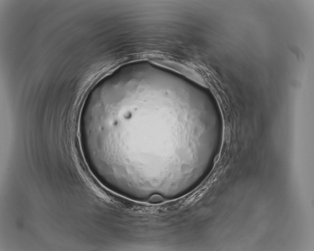 X0000112750049200909031535