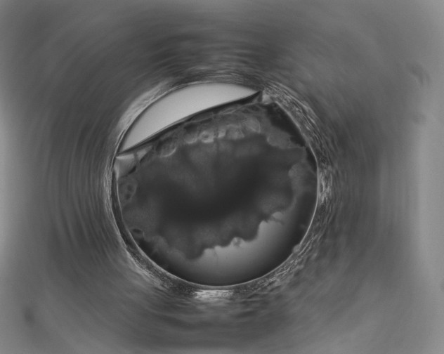 X0000112750051200909031535