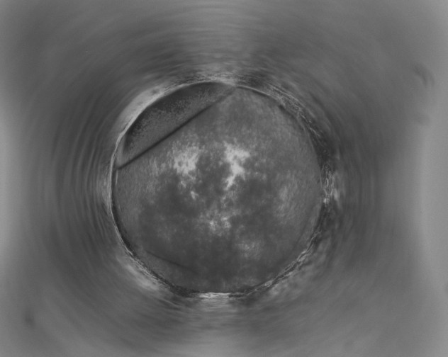 X0000112750052200909031535