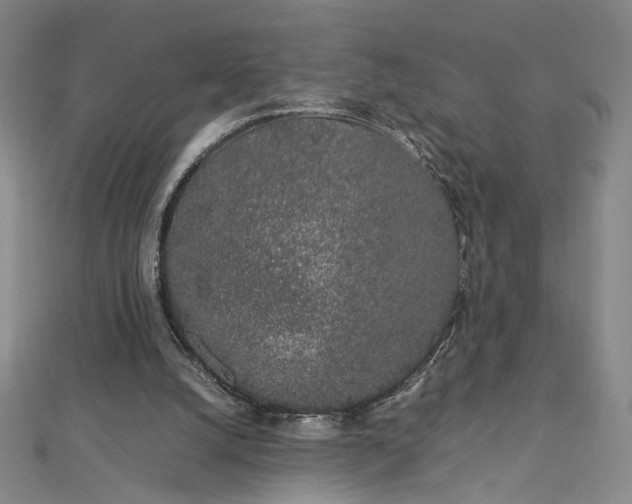 X0000112750056200909031535