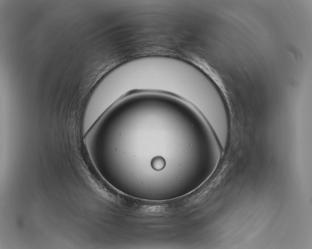 X0000112750057200909031535