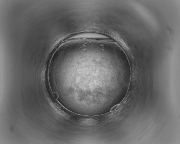 X0000112750058200909031535