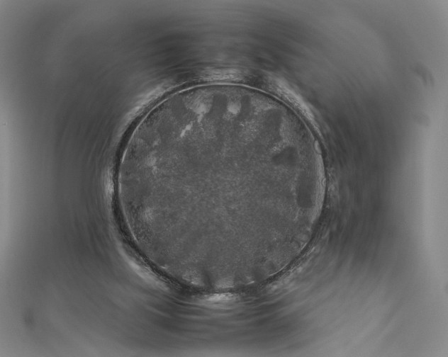 X0000112750059200909031535