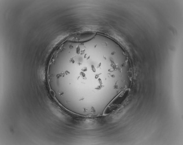 X0000112750060200909031535