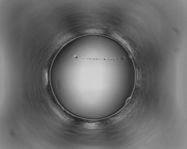 X0000112750061200909031535