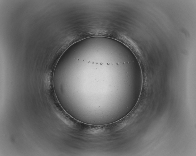 X0000112750065200909031535