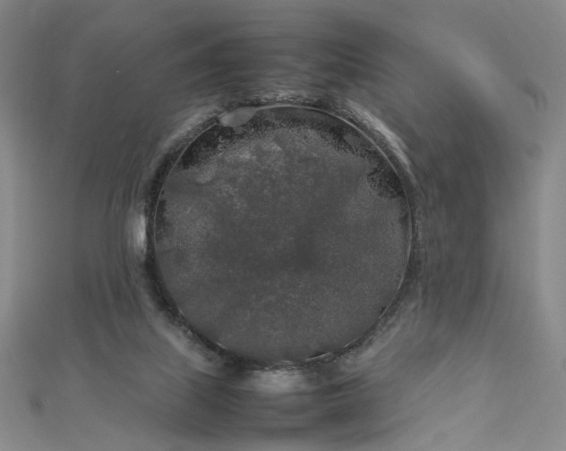 X0000112750067200909031535