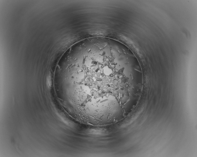 X0000112750069200909031535