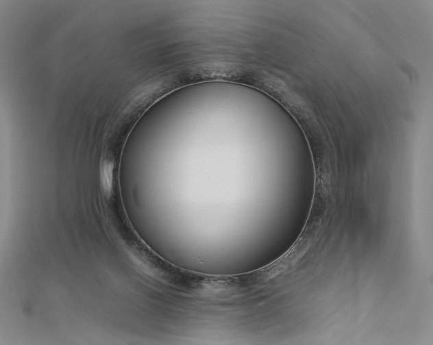 X0000112750070200909031535