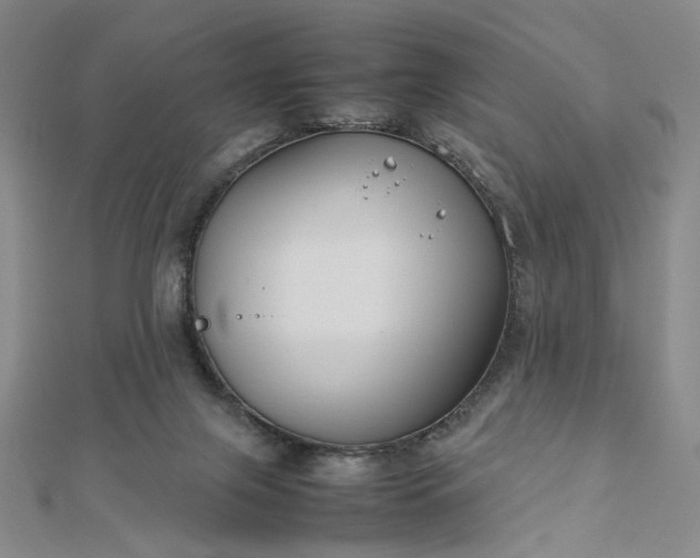 X0000112750071200909031535