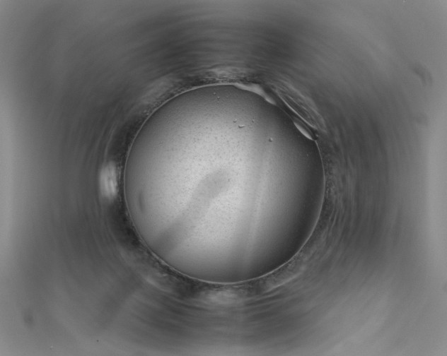 X0000112750075200909031536