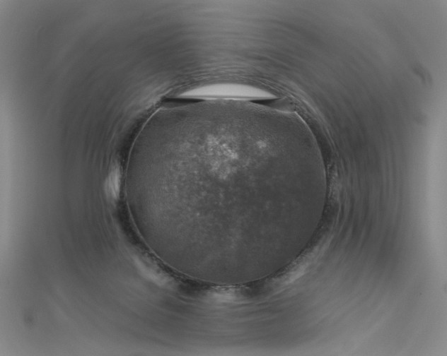 X0000112750076200909031536