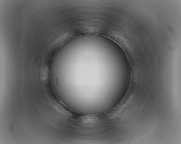 X0000112750077200909031536