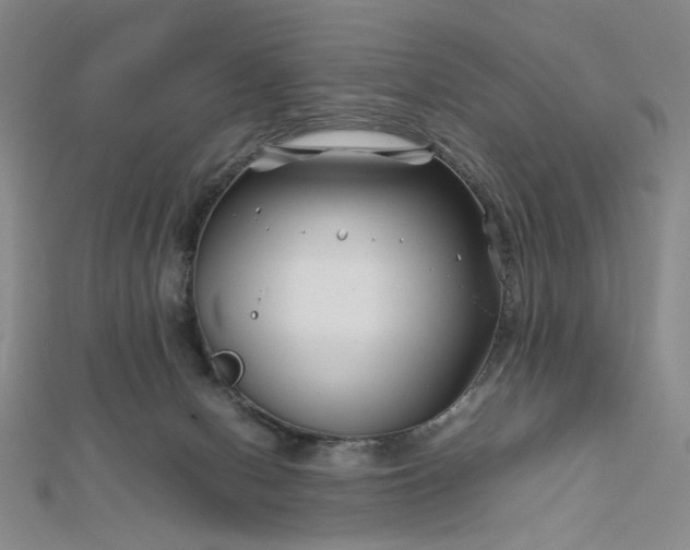 X0000112750078200909031536