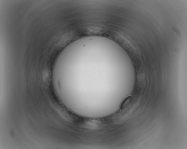 X0000112750079200909031536