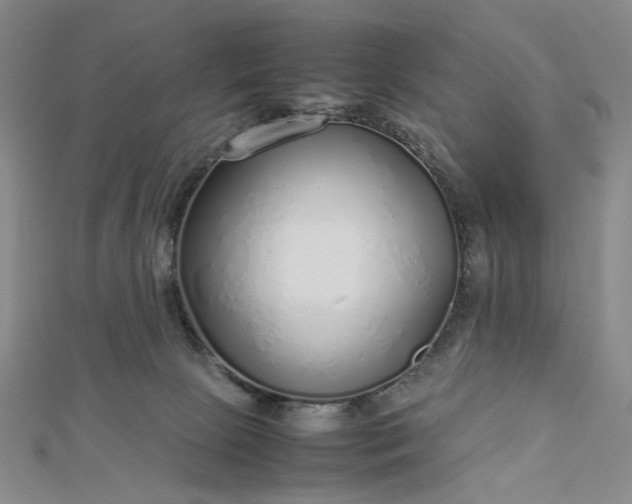 X0000112750081200909031536