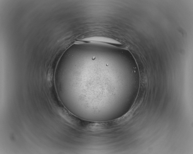 X0000112750082200909031536