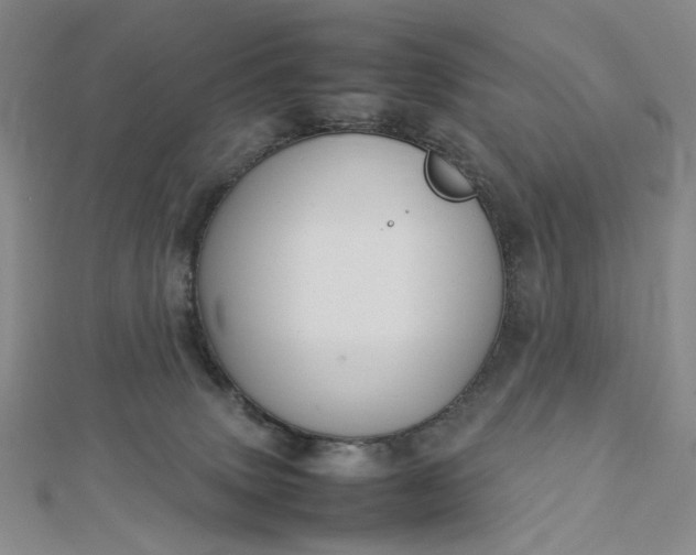 X0000112750083200909031536