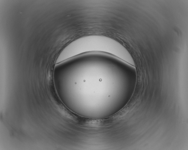 X0000112750084200909031536