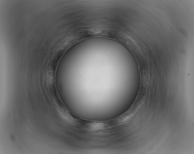 X0000112750085200909031536